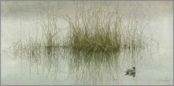 Robert Bateman - Morning Calm