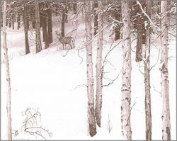 Robert Bateman - Mule Deer in Aspen