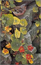 Robert Bateman - On the Garden Wall Robert Bateman - On the Garden Wall