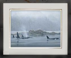 Robert Bateman - Orca Procession - framed Robert Bateman - Orca Procession - framed