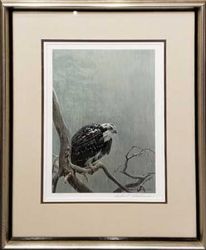 Robert Bateman - Osprey in the Rain Robert Bateman - Osprey in the Rain