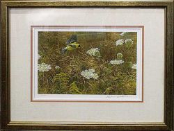 Robert Bateman - Queen Anne's Lace and Goldfinch - framed Robert Bateman - Queen Anne's Lace and Goldfinch - framed