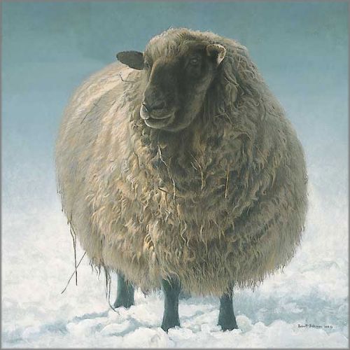 Robert Bateman - Salt Spring Sheep