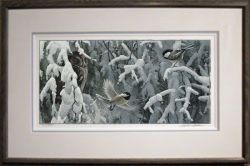 Robert Bateman - Scolding - Chickadees and Screech Owl - framed Robert Bateman - Scolding - Chickadees and Screech Owl - framed
