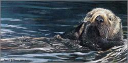 Robert Bateman - Sea Otter Study