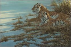 Robert Bateman - Siberian Clearing - Mother and Cub Robert Bateman - Siberian Clearing - Mother and Cub