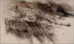 Robert Bateman - Snow Leopard