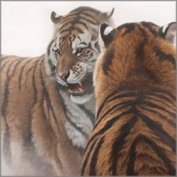 Robert Bateman - Sparring Siberians