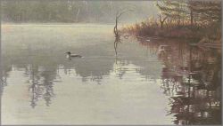 Robert Bateman - Summer Morning-Loon