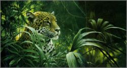 Robert Bateman - Symbol of the Rain Forest - Jaguar