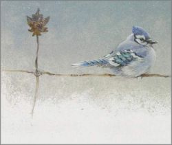 Robert Bateman - Winter Blues - Blue Jay Robert Bateman - Winter Blues - Blue Jay