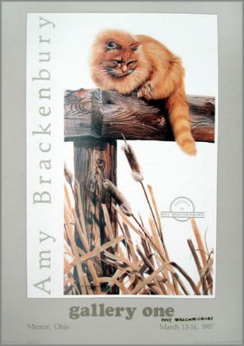 Amy Brackenbury - Cattails