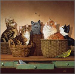 Braldt Bralds - Basket Cases