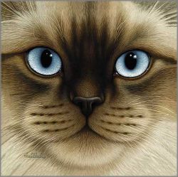 Braldt Bralds - Burman