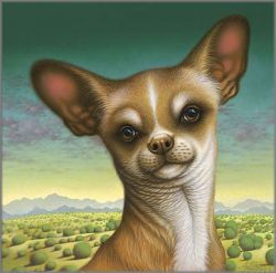 Braldt Bralds - Chihuahua de Chimayo