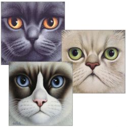 Braldt Bralds - Nine Lives Suite #1