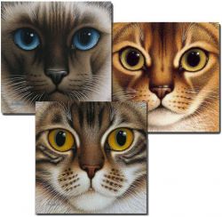 Braldt Bralds - Nine Lives Suite # 2