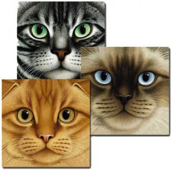 Braldt Bralds - Nine Lives Suite #3