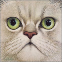 Braldt Bralds - Persian