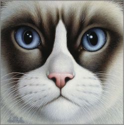 Braldt Bralds - Snowshoe