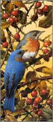 Carl Brenders - Bluebirds