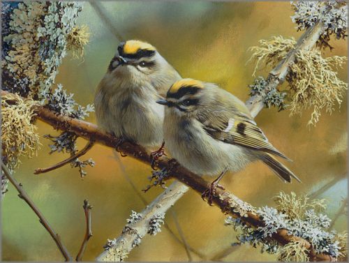 Carl Brenders - Crowning Glory