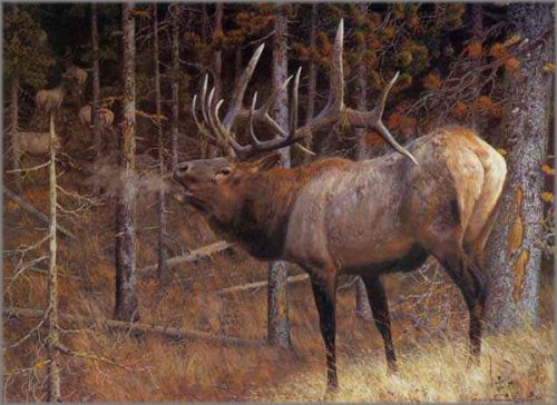 Carl Brenders - Hunter's Dream