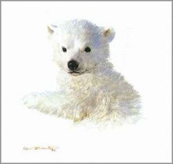 Carl Brenders - Polar Bear Cub Study