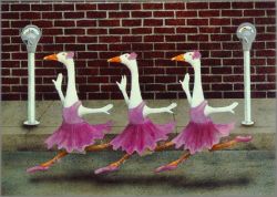 Will Bullas - Ballet Parking