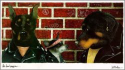 Will Bullas - Bad Doggies