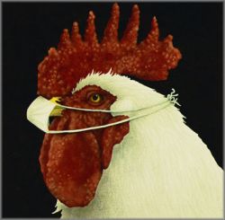 Will Bullas - Dr. Pecker