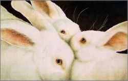 Will Bullas - Some Set of Buns