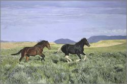 John Bye - Wild and Free