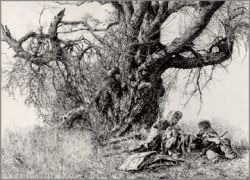 Paul Calle - When Trappers Meet