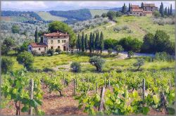June Carey - Chianti Estate