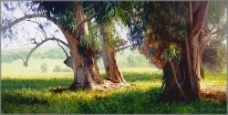 June Carey - Eucalyptus Trunks