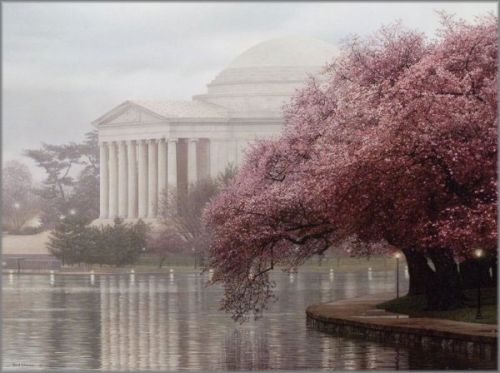 Rod Chase - Pillars of Freedom