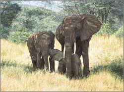 Simon Combes - Family Ties