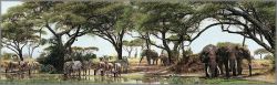 Simon Combes - African Oasis