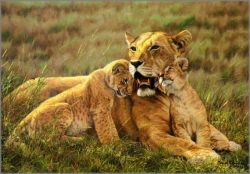 Simon Combes - Aftermath