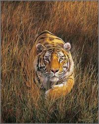 Simon Combes - Fearful Symmetry