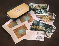 Simon Combes - Great Cats - boxed set