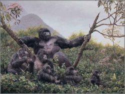 Simon Combes - Jungle Phantom