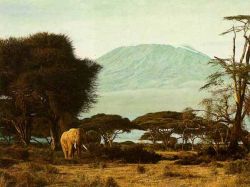 Simon Combes - Kilimanjaro Morning