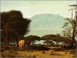 Simon Combes - Kilimanjaro Morning