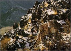 Simon Combes - Mountain Myth