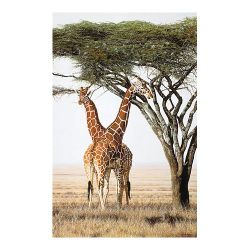 Simon Combes - Sentinels