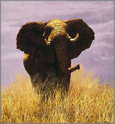 Simon Combes - Tsavo Sentinel