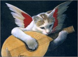 Melinda Copper - Gizmo Angel