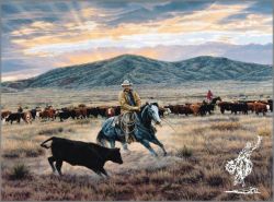 Tim Cox - Dance of the Blue Cayuse